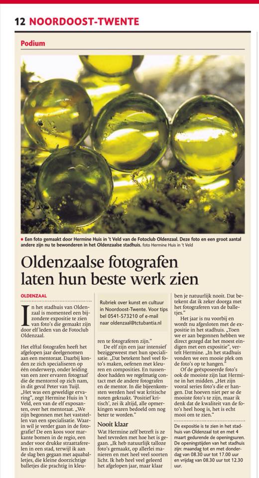 Publicatie Krantenartikel Mentoraat 16-02-2016