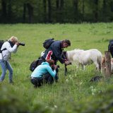 FCO Puzzeltocht 29-04-2019