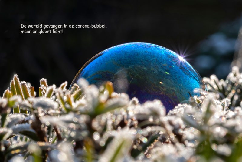 Macro Fotografie