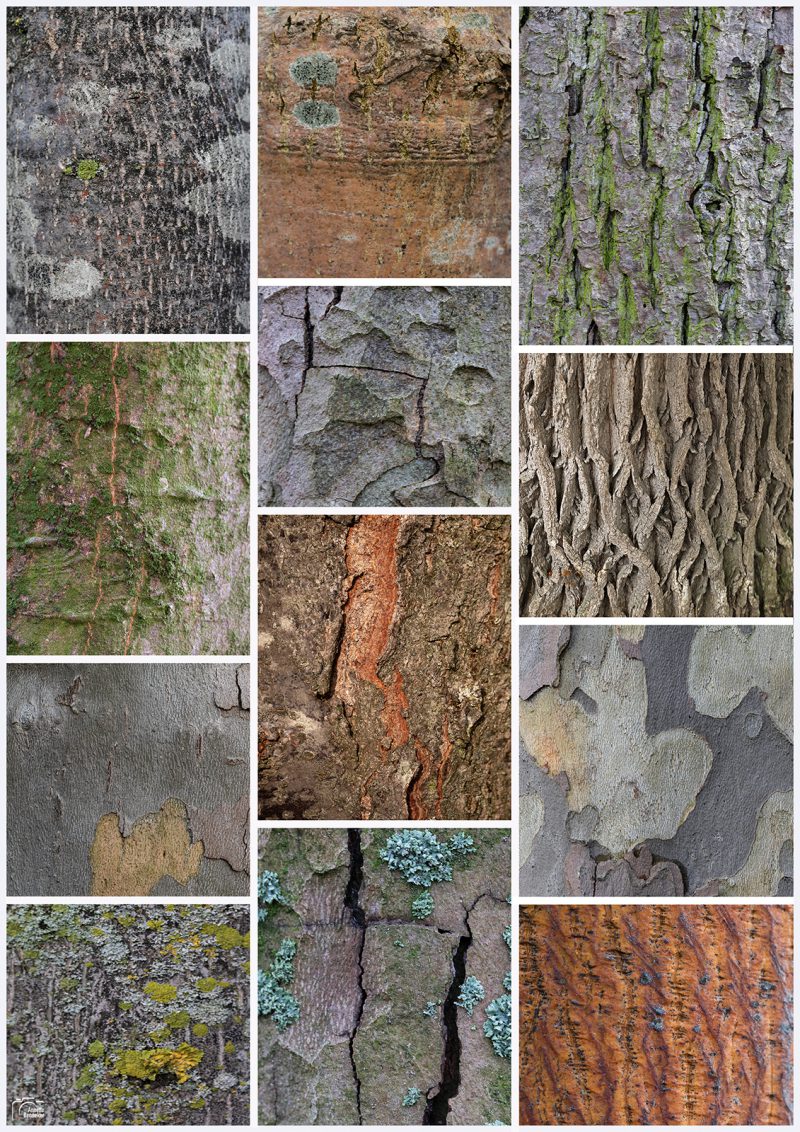 Collages 2021