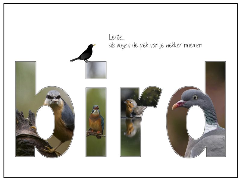 Collages 2021