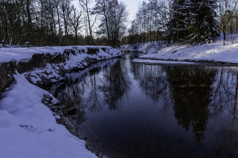 Winter