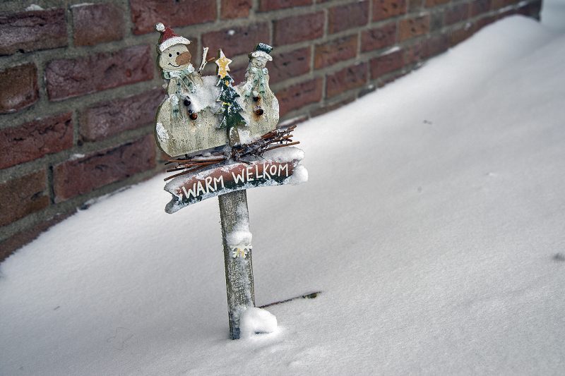 Winter