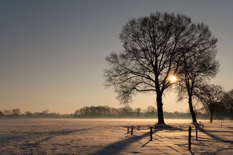 Winter
