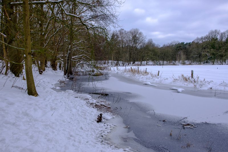 Winter