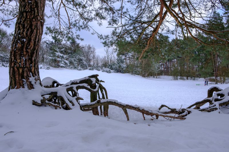 Winter