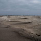 _DSC9706