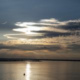 Arend_0Z64184