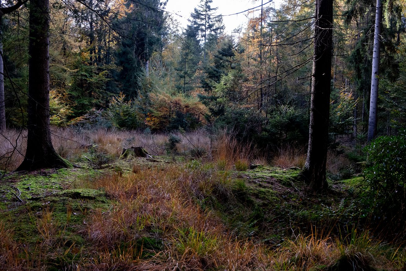 02 Masja herfst