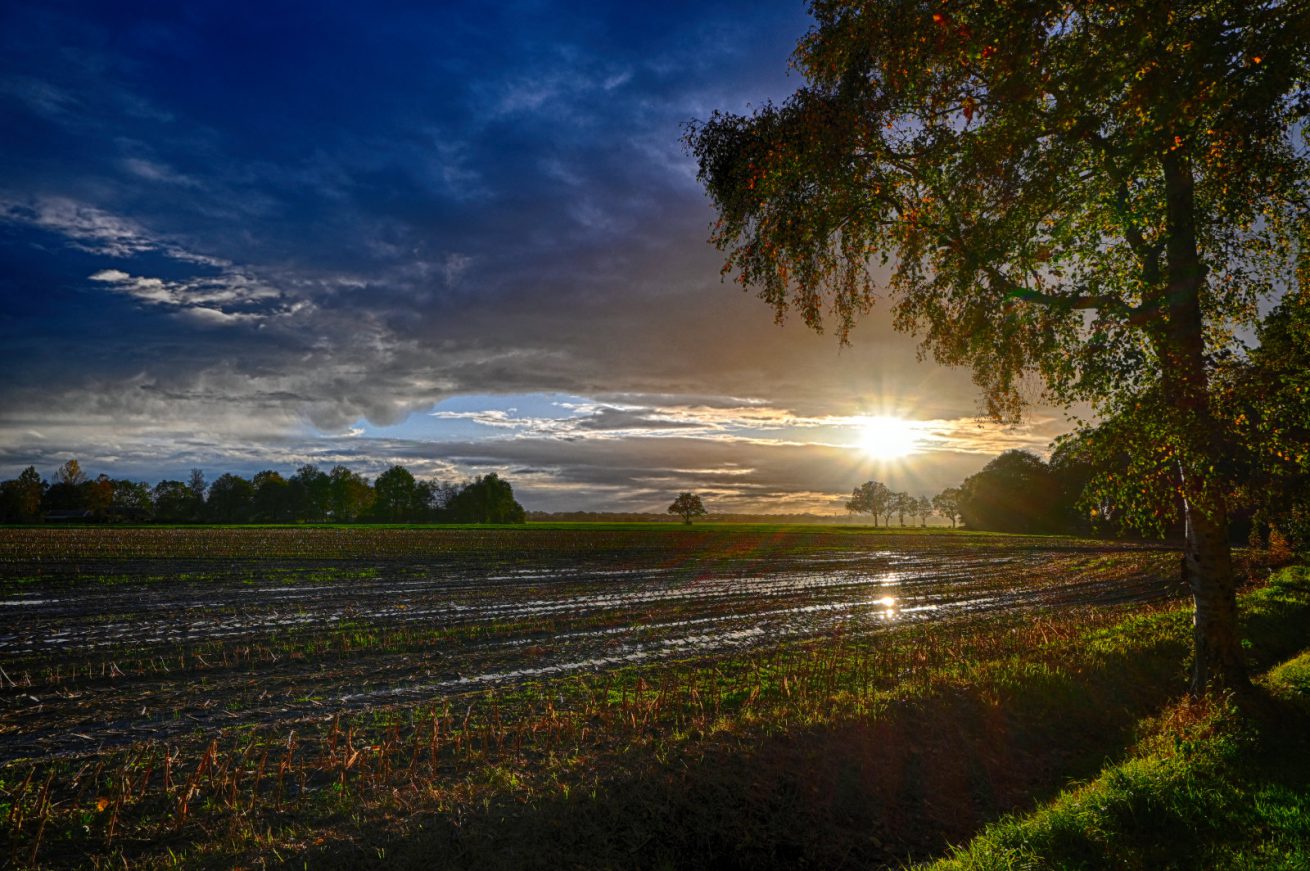 Anton - 202310HDR_Drenthe