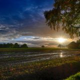 Anton - 202310HDR_Drenthe