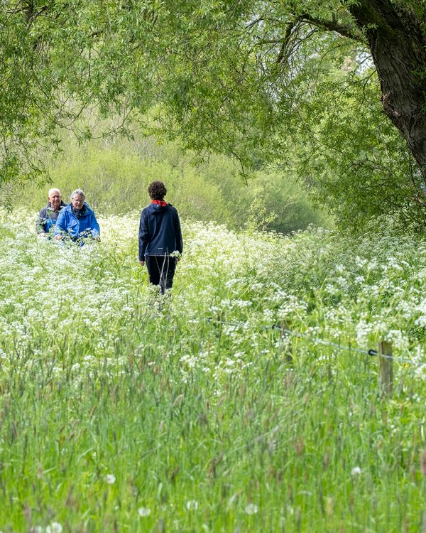 2 Masja lente