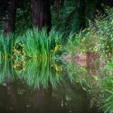 Opdr.03-Joop-Waterspiegeling