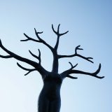 Opdr.08-Joop-Minimalistisch