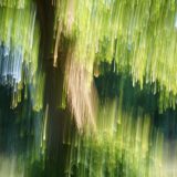 Opdr.10-Joop-Bewogenfoto