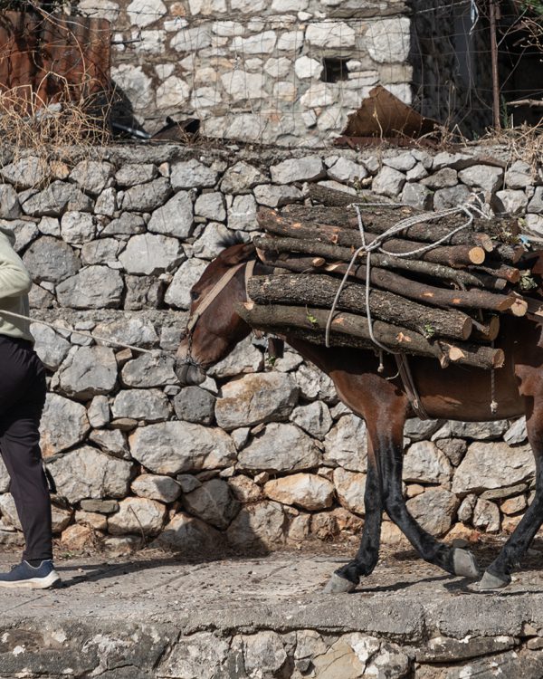 AB Nog echte paardenkracht in Albanië