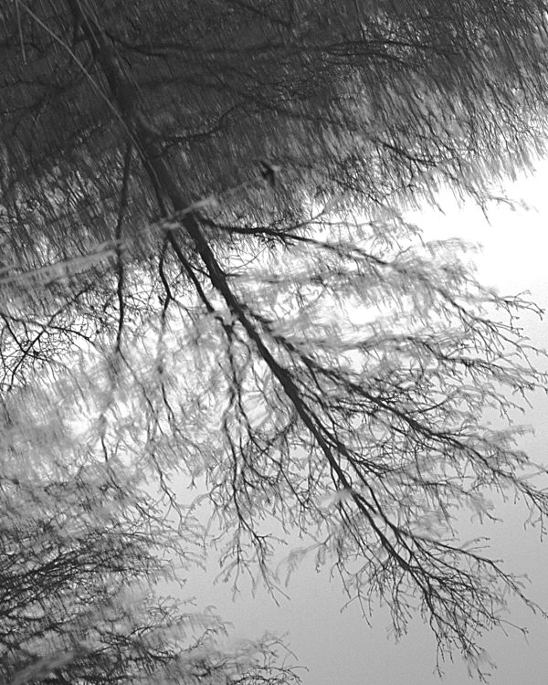 Marian-2.DSC_0102.jpgzw spiegeling-16px