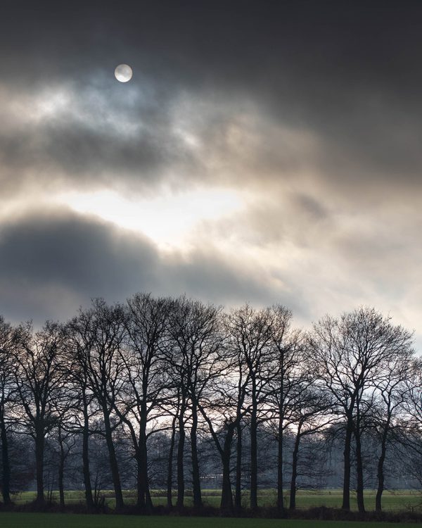 NATUUR-Gert-Jan Kamphuis 002