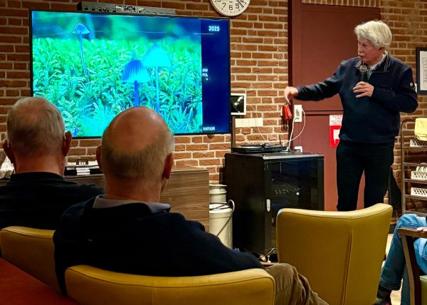 WhatsApp Image 2026-01-14 at 15.05.07 (3)