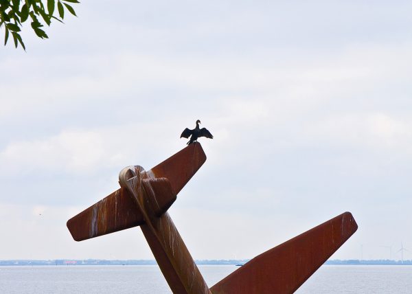 Connie Harderwijk 005