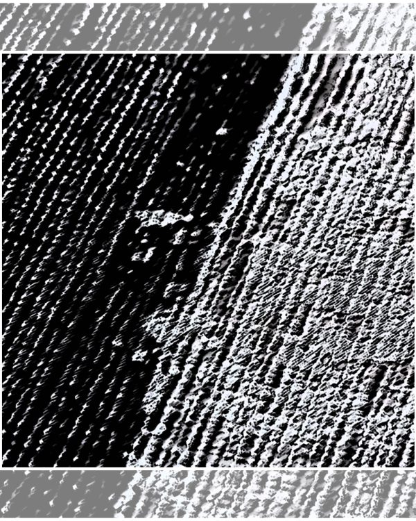 Hermine_carpet small