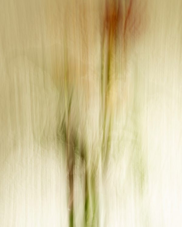 Hermine_OLYMPUS DIGITAL CAMERA