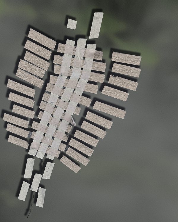 Hermine_tape it small