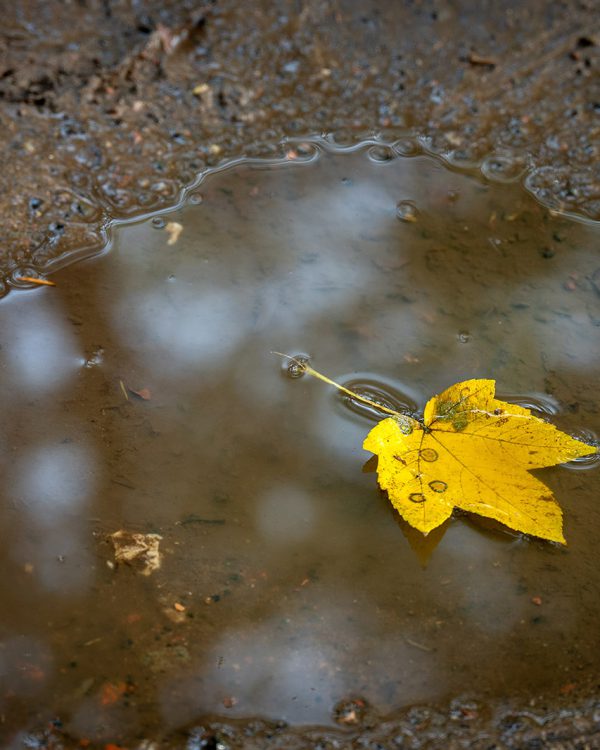 KarinVogt-minimalisme1