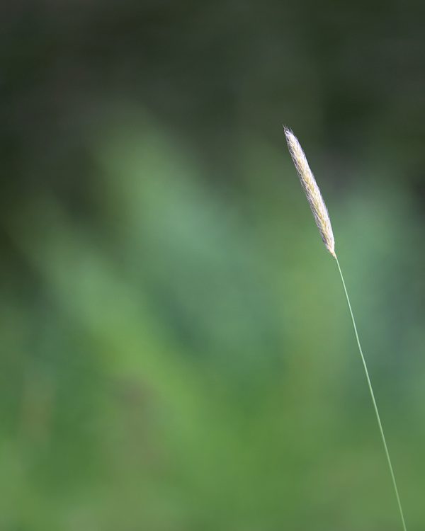 KarinVogt-minimalisme2