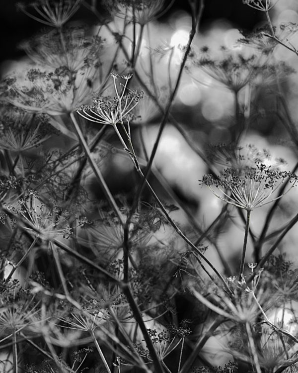 Natuur-Marian (3)