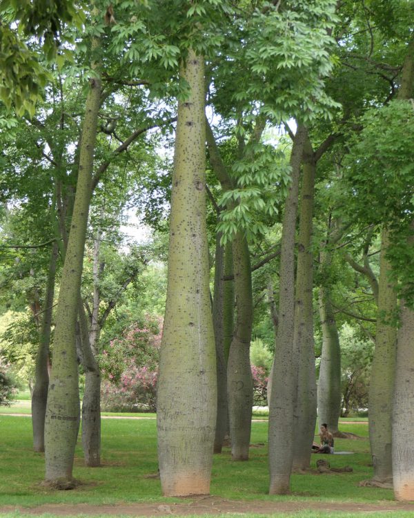 Machteld-park