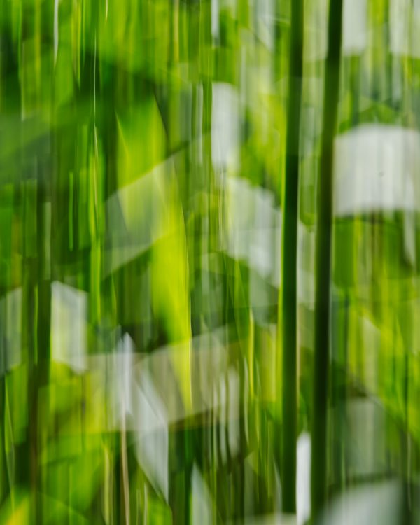 Structuur-Marian-Into the Green