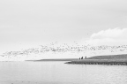 Fotografieweekend Terschelling Landschap 3