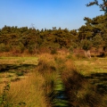 Bergvennen & Brecklenkampse veld