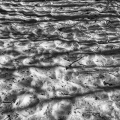 Sand and shadows
